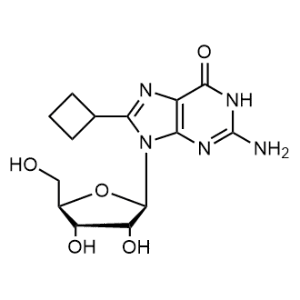 2-Amino-8-cyclobutyl-9-((2R,3R,4S,5R)-3,4-dihydroxy-5-(hydroxymethyl)tetrahydrofuran-2-yl)-1,9-dihydro-6H-purin-6-one|CS-1346015