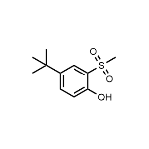4-(tert-Butyl)-2-(methylsulfonyl)phenol|CS-1347019