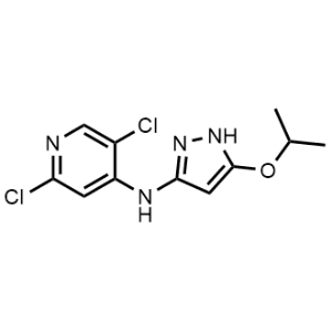 2,5-Dichloro-N-(5-isopropoxy-1H-pyrazol-3-yl)pyridin-4-amine|CS-1352131