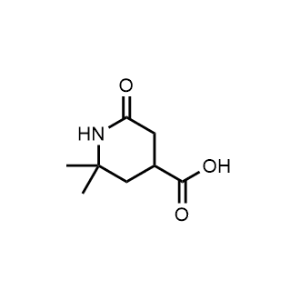 2,2-Dimethyl-6-oxopiperidine-4-carboxylic acid|CS-1356731