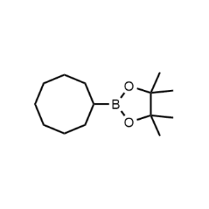 2-Cyclooctyl-4,4,5,5-tetramethyl-1,3,2-dioxaborolane|CS-1360294
