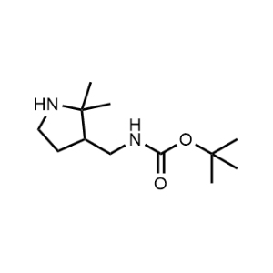 tert-Butyl N-[(2,2-dimethylpyrrolidin-3-yl)methyl]carbamate|CS-1363455