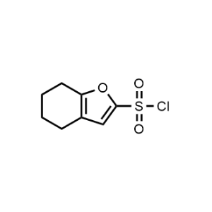 4,5,6,7-Tetrahydrobenzofuran-2-sulfonyl chloride|CS-1364444