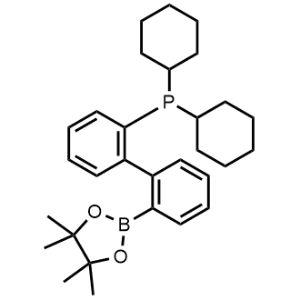 Dicyclohexyl(2'-(4,4,5,5-tetramethyl-1,3,2-dioxaborolan-2-yl)-[1,1'-biphenyl]-2-yl)phosphane|CS-1369540