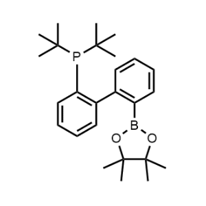 Di-tert-butyl(2'-(4,4,5,5-tetramethyl-1,3,2-dioxaborolan-2-yl)-[1,1'-biphenyl]-2-yl)phosphane|CS-1369559