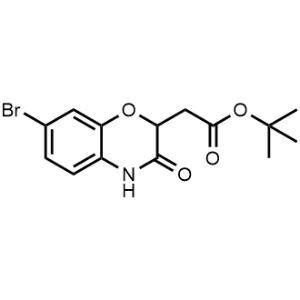 tert-Butyl 2-(7-bromo-3-oxo-3,4-dihydro-2H-benzo[b][1,4]oxazin-2-yl)acetate|CS-1369760