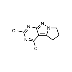 2,4-Dichloro-6,7-dihydro-5H-pyrrolo[1',2':1,5]pyrazolo[3,4-d]pyrimidine|CS-1370543
