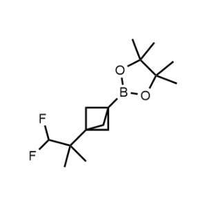 2-(3-(1,1-Difluoro-2-methylpropan-2-yl)bicyclo[1.1.1]pentan-1-yl)-4,4,5,5-tetramethyl-1,3,2-dioxaborolane|CS-1371318