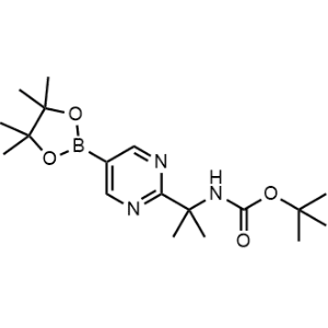 tert-Butyl (2-(5-(4,4,5,5-tetramethyl-1,3,2-dioxaborolan-2-yl)pyrimidin-2-yl)propan-2-yl)carbamate|CS-1374798