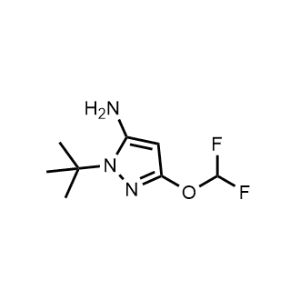 1-(tert-Butyl)-3-(difluoromethoxy)-1H-pyrazol-5-amine|CS-1376230
