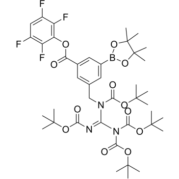 2,3,5,6-Tetrafluorophenyl-3-((1,2,3,3-tetrakis(tert-butoxycarbonyl)guanidino)methyl)-5-(4,4,5,5-tetramethyl-1,3,2-dioxaborolan-2-yl)benzoate|CS-1377116