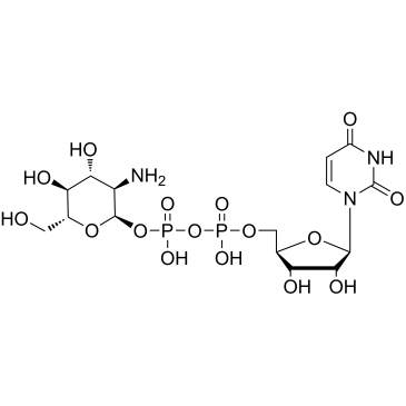 UDP-Glucosamine|CS-1378864