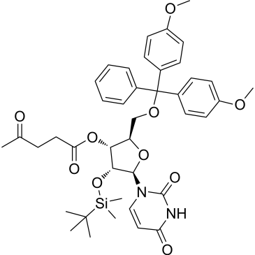 (2R,3R,4R,5R)-2-((Bis(4-methoxyphenyl)(phenyl)methoxy)methyl)-4-((tert-butyldimethylsilyl)oxy)-5-(2,4-dioxo-3,4-dihydropyrimidin-1(2H)-yl)tetrahydrofuran-3-yl 4-oxopentanoate|CS-1378891