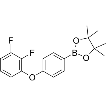 2-(4-(2,3-Difluorophenoxy)phenyl)-4,4,5,5-tetramethyl-1,3,2-dioxaborolane|CS-1378906