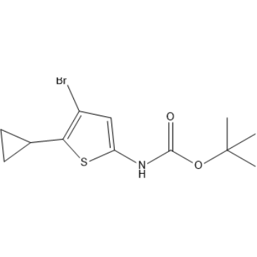 tert-Butyl (4-bromo-5-cyclopropylthiophen-2-yl)carbamate|CS-1380228