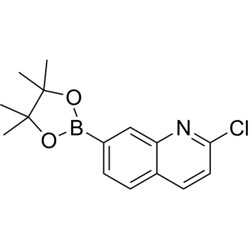 2-Chloro-7-(4,4,5,5-tetramethyl-1,3,2-dioxaborolan-2-yl)quinoline|CS-1380554