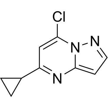 7-Chloro-5-cyclopropylpyrazolo[1,5-a]pyrimidine|CS-1381324