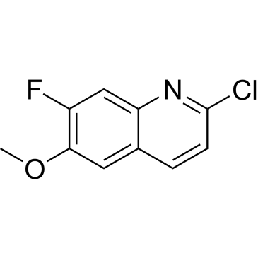 2-Chloro-7-fluoro-6-methoxyquinoline|CS-1381394