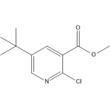 Methyl 5-(tert-butyl)-2-chloronicotinate|CS-1381679