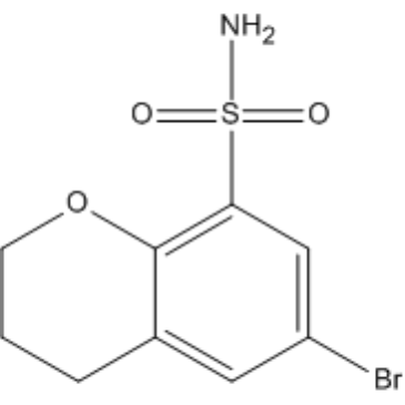 6-Bromochromane-8-sulfonamide|CS-1383979