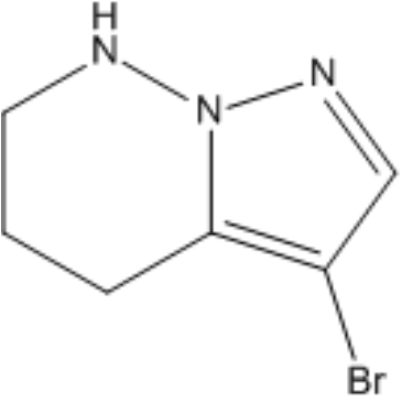 3-Bromo-4,5,6,7-tetrahydropyrazolo[1,5-b]pyridazine|CS-1384104