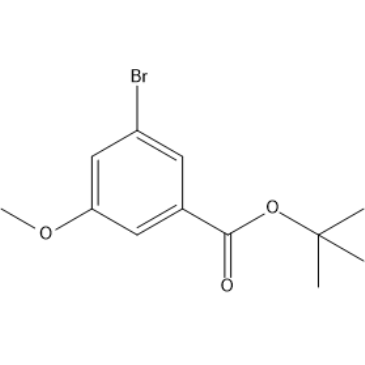 tert-Butyl 3-bromo-5-methoxybenzoate|CS-1384618