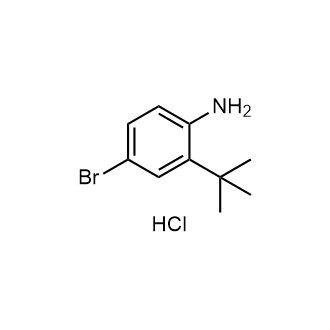 4-Bromo-2-(tert-butyl)aniline hydrochloride|CS-1385623