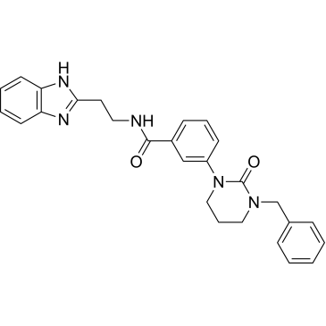 N-(2-(1H-Benzo[d]imidazol-2-yl)ethyl)-3-(3-benzyl-2-oxotetrahydropyrimidin-1(2H)-yl)benzamide|CS-1386690