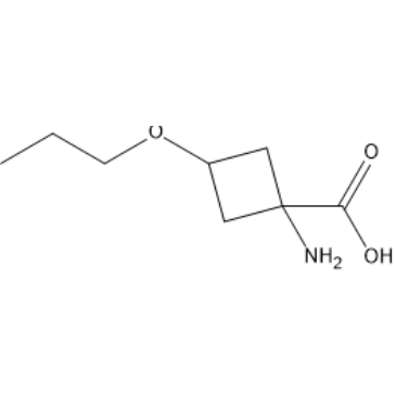 1-Amino-3-propoxycyclobutane-1-carboxylic acid|CS-1388144