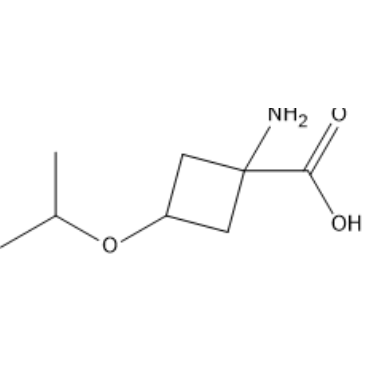 1-Amino-3-isopropoxycyclobutane-1-carboxylic acid|CS-1388145