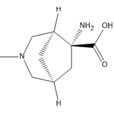 rel-(1S,5S,6R)-6-Amino-3-methyl-3-azabicyclo[3.2.1]octane-6-carboxylic acid|CS-1388337