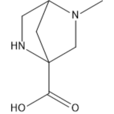 5-Methyl-2,5-diazabicyclo[2.2.1]heptane-1-carboxylic acid|CS-1388959