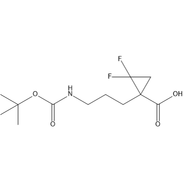 1-(3-((tert-Butoxycarbonyl)amino)propyl)-2,2-difluorocyclopropane-1-carboxylic acid|CS-1410166