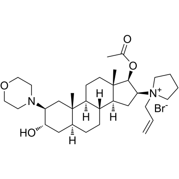 Rocuronium Bromide|CS-1467