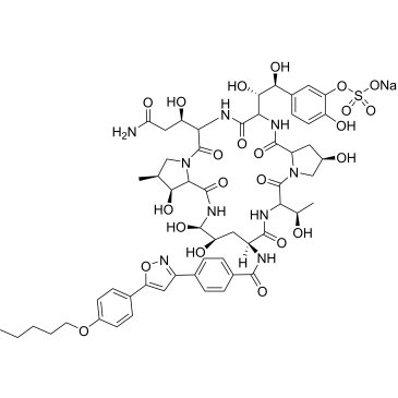 Micafungin sodium|CS-1504