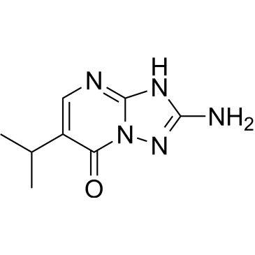 2-Amino-6-isopropyl-[1,2,4]triazolo[1,5-a]pyrimidin-7(3H)-one|CS-1530886