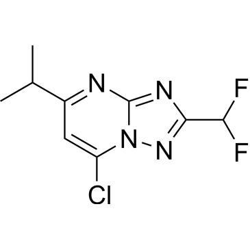 7-Chloro-2-(difluoromethyl)-5-isopropyl-[1,2,4]triazolo[1,5-a]pyrimidine|CS-1530906