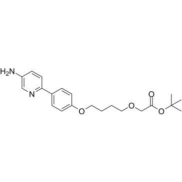 tert-Butyl 2-(4-(4-(5-aminopyridin-2-yl)phenoxy)butoxy)acetate|CS-1567525