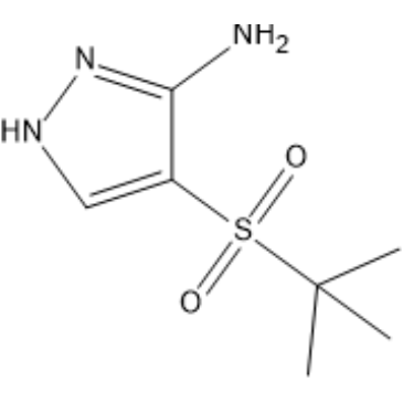 4-(tert-Butylsulfonyl)-1H-pyrazol-3-amine|CS-1634471