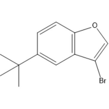 3-Bromo-5-(tert-Butyl)benzofuran|CS-1634798