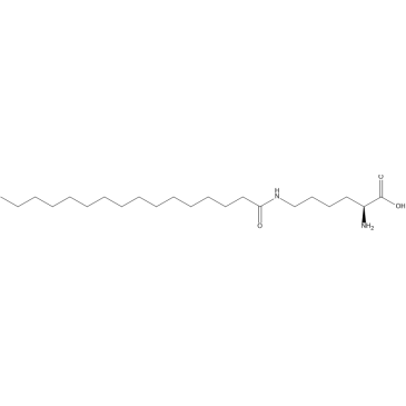 N6-Palmitoyl-l-lysine|CS-1635531
