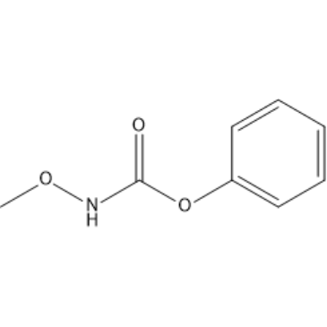 Phenyl methoxycarbamate|CS-1635540
