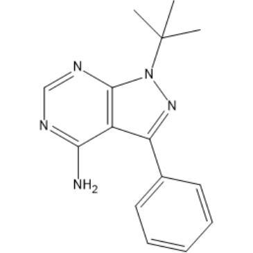 1-(tert-Butyl)-3-phenyl-1H-pyrazolo[3,4-d]pyrimidin-4-amine|CS-1635576