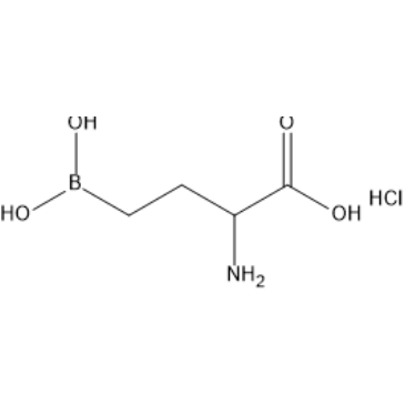 2-Amino-4-boronobutanoic acid hydrochloride|CS-1635832