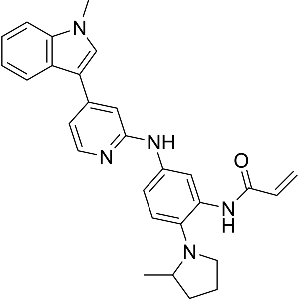 N-(5-((4-(1-Methyl-1H-indol-3-yl)pyridin-2-yl)amino)-2-(2-methylpyrrolidin-1-yl)phenyl)acrylamide|CS-1636338