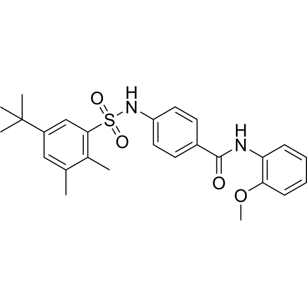 4-((5-(tert-Butyl)-2,3-dimethylphenyl)sulfonamido)-N-(2-methoxyphenyl)benzamide|CS-1636462