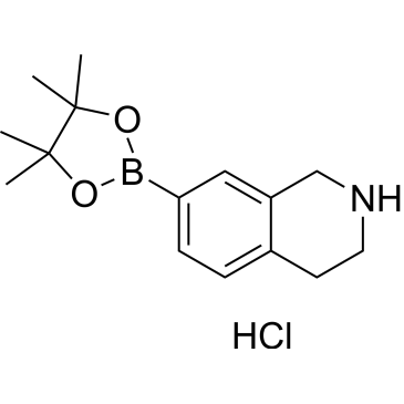 7-(4,4,5,5-Tetramethyl-1,3,2-dioxaborolan-2-yl)-1,2,3,4-tetrahydroisoquinoline hydrochloride|CS-1638429