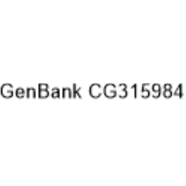 GenBank CG315984|CS-1638682