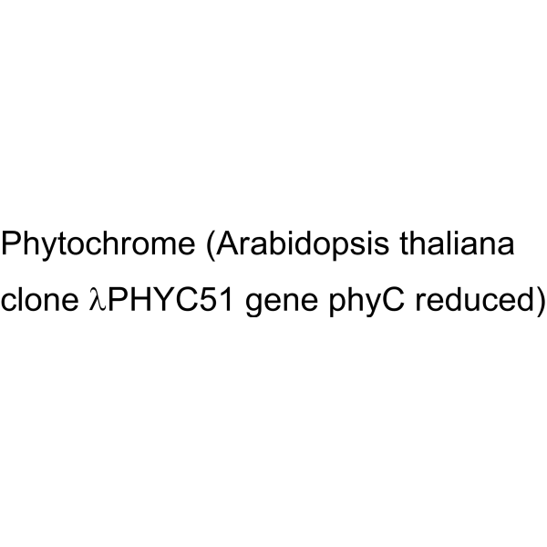 Phytochrome Arabidopsis thaliana clone λPHYC51 gene phyC reduced|CS-1638683