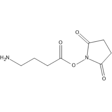 2,5-Dioxopyrrolidin-1-yl 4-aminobutanoate|CS-1639380